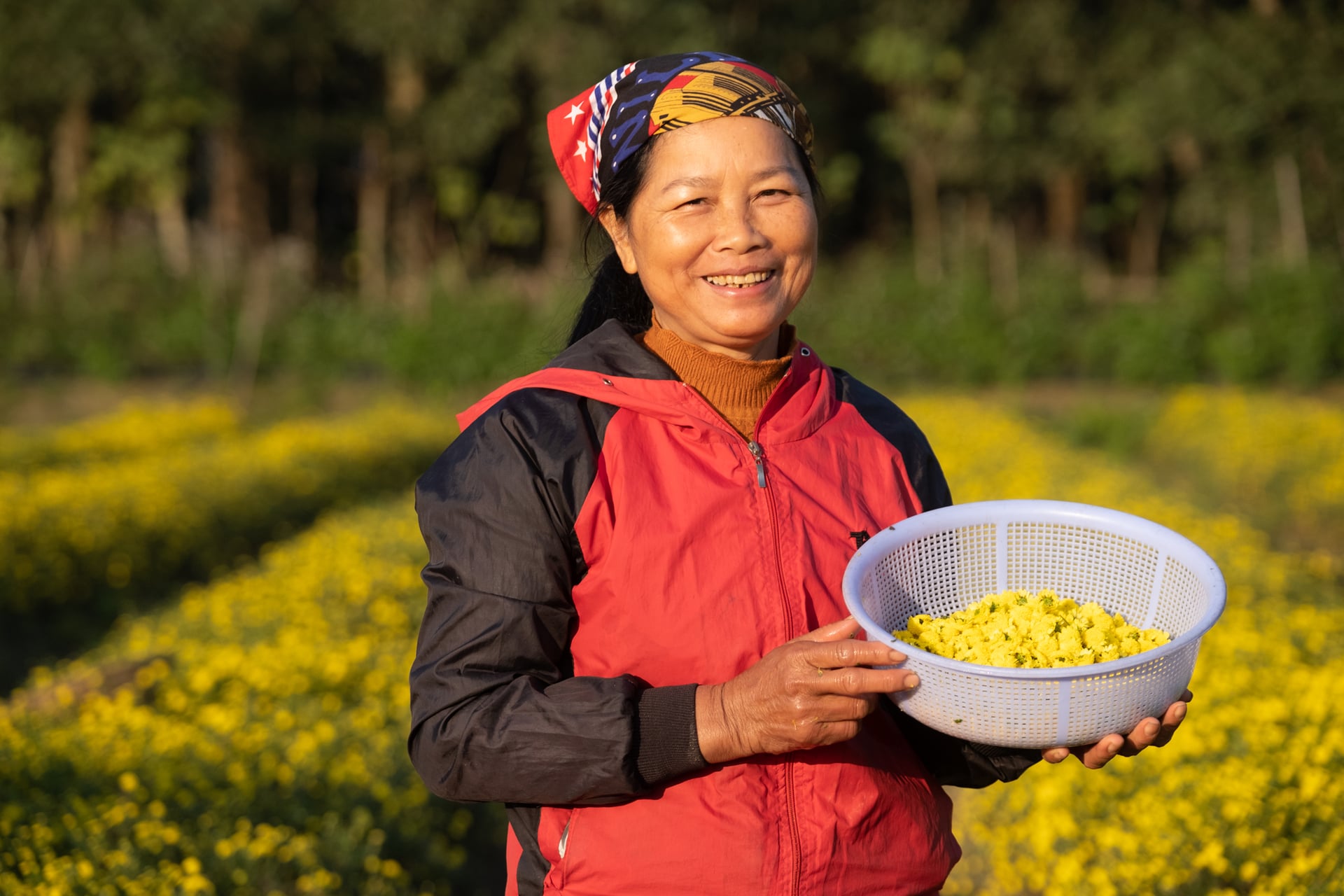 Nông nghiệp hữu cơ đang trở thành hướng phát triển tất yếu của nông nghiệp Việt Nam. Ảnh: Ritifarm. Nông nghiệp hữu cơ đang trở thành hướng phát triển tất yếu của nông nghiệp Việt Nam. Ảnh: Ritifarm.
